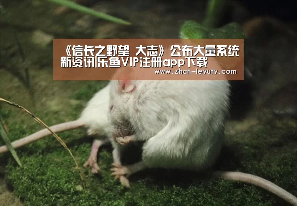 登录入口
